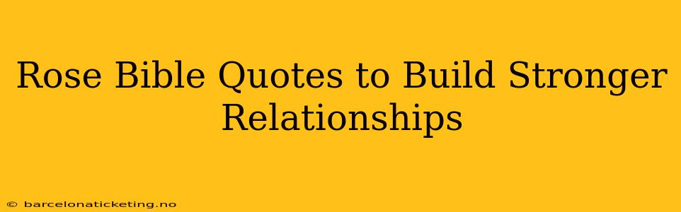 Rose Bible Quotes to Build Stronger Relationships