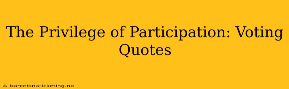 The Privilege of Participation: Voting Quotes