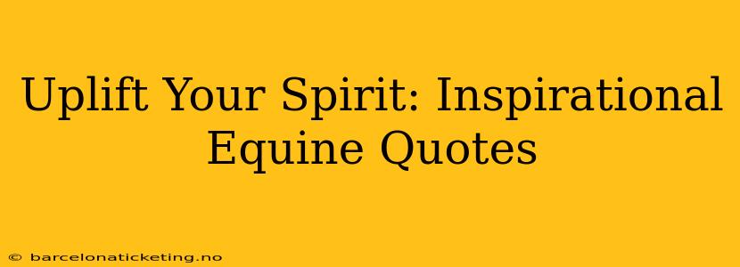 Uplift Your Spirit: Inspirational Equine Quotes