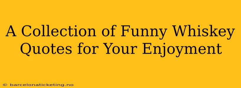 A Collection of Funny Whiskey Quotes for Your Enjoyment
