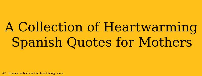 A Collection of Heartwarming Spanish Quotes for Mothers