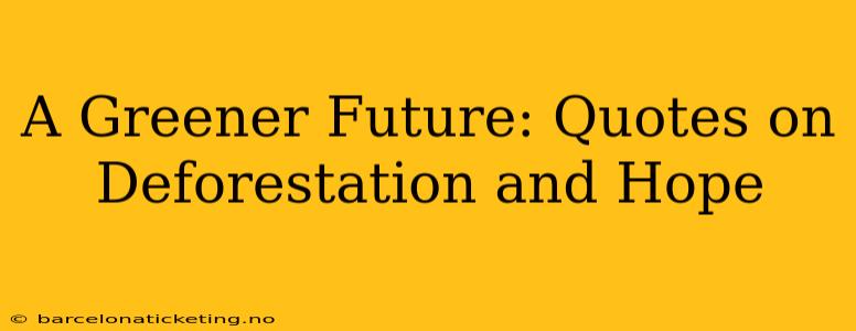 A Greener Future: Quotes on Deforestation and Hope