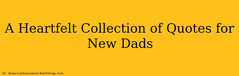 A Heartfelt Collection of Quotes for New Dads