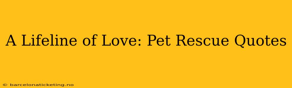 A Lifeline of Love: Pet Rescue Quotes