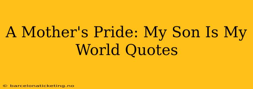 A Mother's Pride: My Son Is My World Quotes