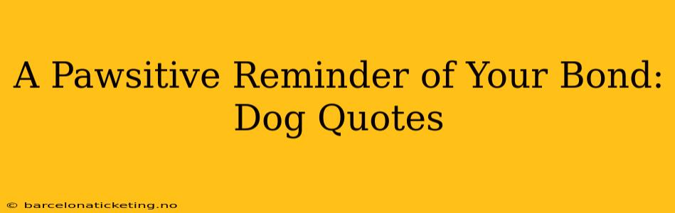 A Pawsitive Reminder of Your Bond: Dog Quotes
