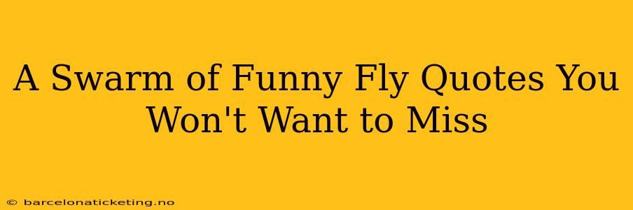 A Swarm of Funny Fly Quotes You Won't Want to Miss