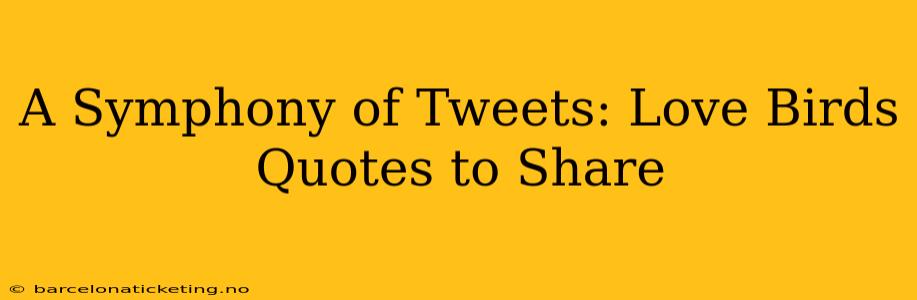 A Symphony of Tweets: Love Birds Quotes to Share