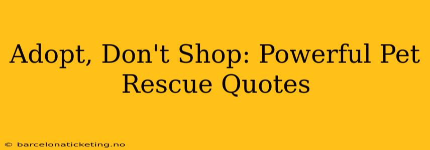 Adopt, Don't Shop: Powerful Pet Rescue Quotes