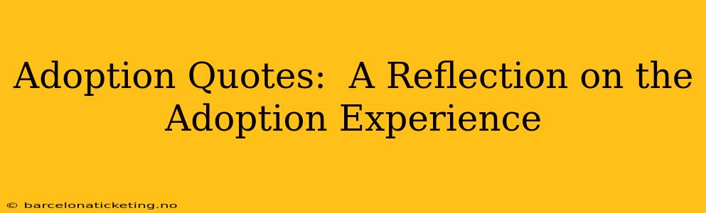 Adoption Quotes:  A Reflection on the Adoption Experience