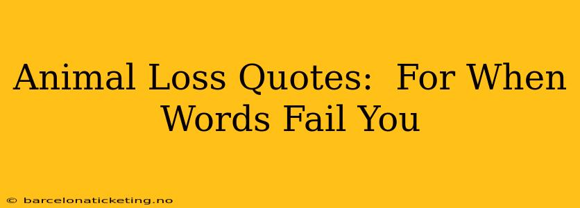 Animal Loss Quotes:  For When Words Fail You