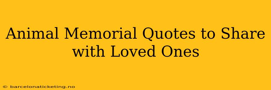 Animal Memorial Quotes to Share with Loved Ones