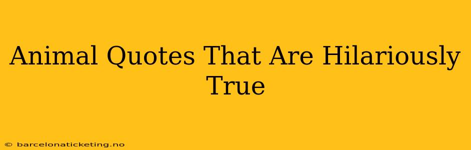 Animal Quotes That Are Hilariously True