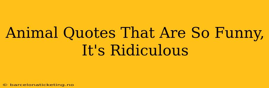 Animal Quotes That Are So Funny, It's Ridiculous