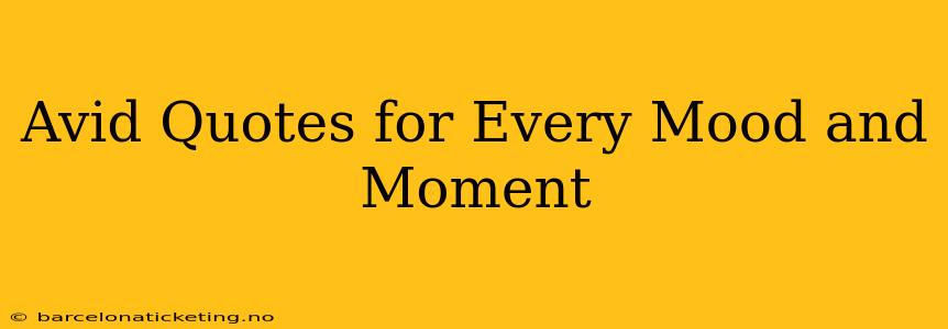 Avid Quotes for Every Mood and Moment