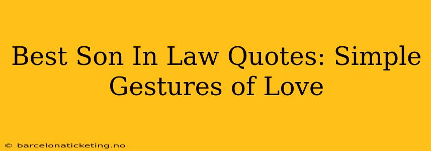 Best Son In Law Quotes: Simple Gestures of Love