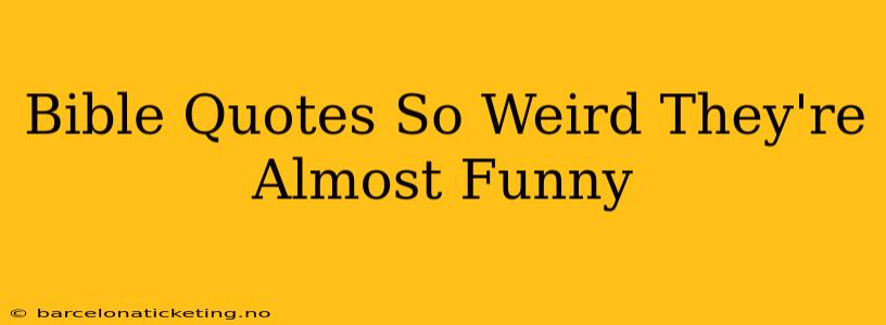 Bible Quotes So Weird They're Almost Funny