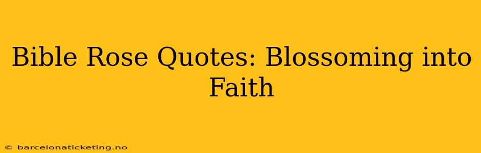Bible Rose Quotes: Blossoming into Faith