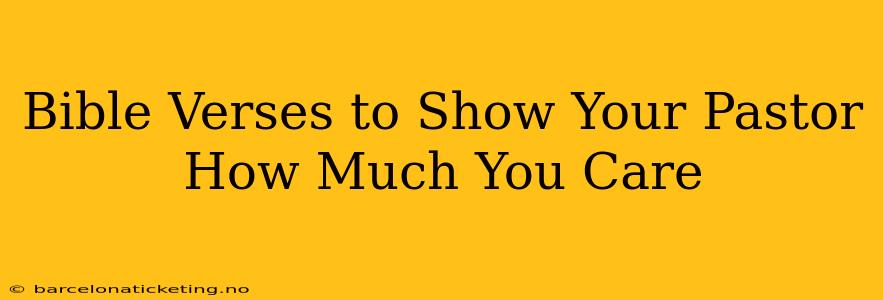 Bible Verses to Show Your Pastor How Much You Care