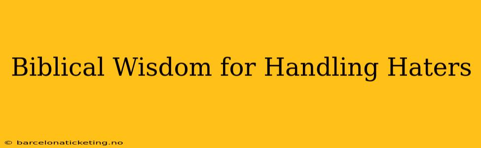 Biblical Wisdom for Handling Haters