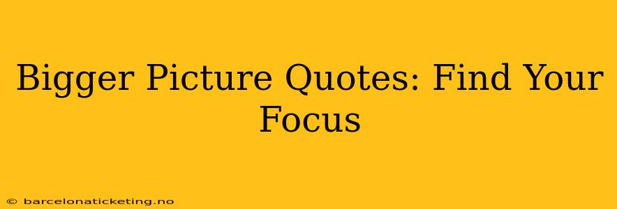 Bigger Picture Quotes: Find Your Focus