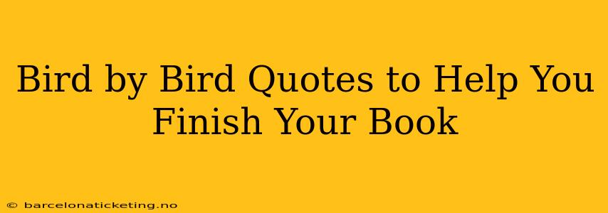 Bird by Bird Quotes to Help You Finish Your Book