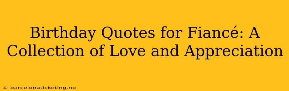 Birthday Quotes for Fiancé: A Collection of Love and Appreciation
