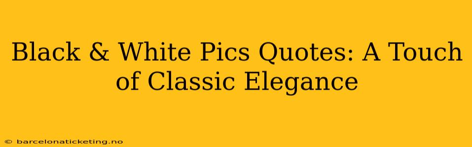 Black & White Pics Quotes: A Touch of Classic Elegance