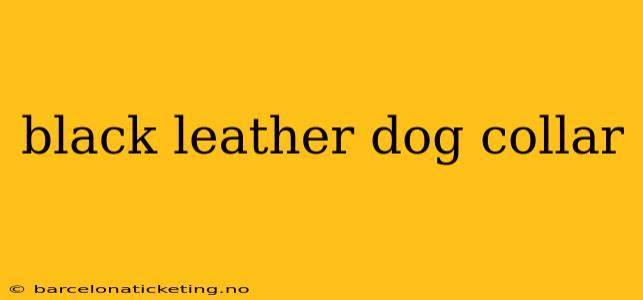 black leather dog collar