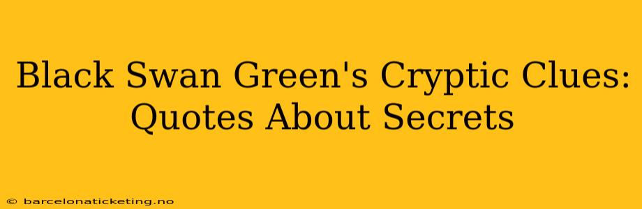 Black Swan Green's Cryptic Clues: Quotes About Secrets
