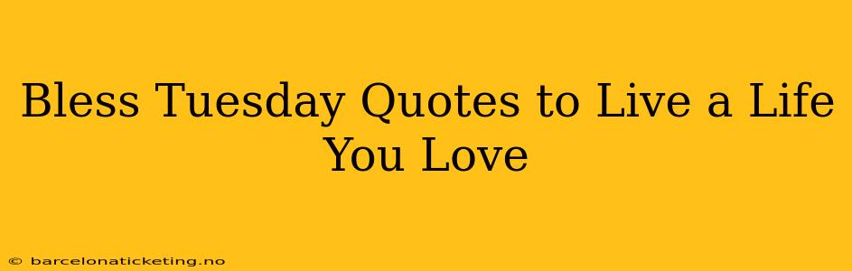 Bless Tuesday Quotes to Live a Life You Love