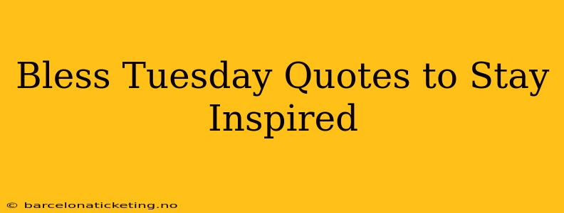 Bless Tuesday Quotes to Stay Inspired