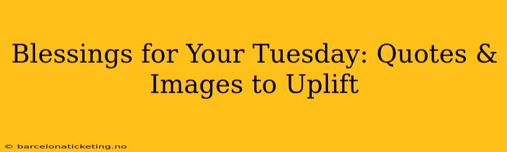 Blessings for Your Tuesday: Quotes & Images to Uplift