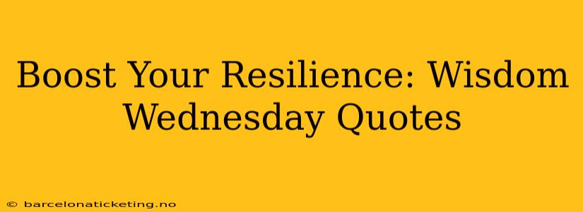 Boost Your Resilience: Wisdom Wednesday Quotes