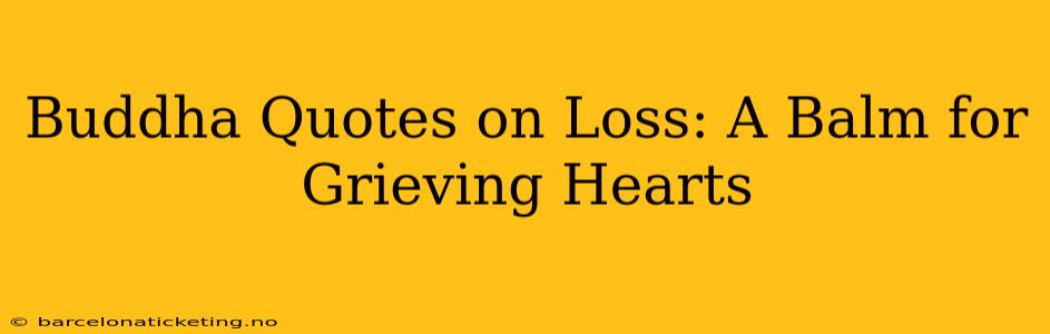 Buddha Quotes on Loss: A Balm for Grieving Hearts