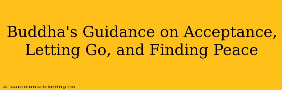 Buddha's Guidance on Acceptance, Letting Go, and Finding Peace