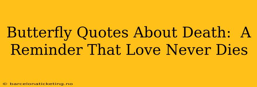 Butterfly Quotes About Death:  A Reminder That Love Never Dies