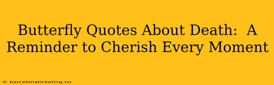 Butterfly Quotes About Death:  A Reminder to Cherish Every Moment