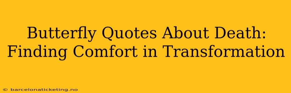 Butterfly Quotes About Death: Finding Comfort in Transformation
