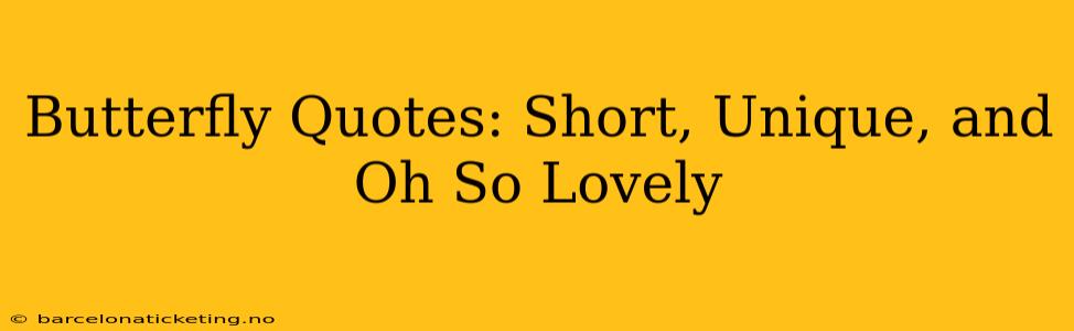 Butterfly Quotes: Short, Unique, and Oh So Lovely