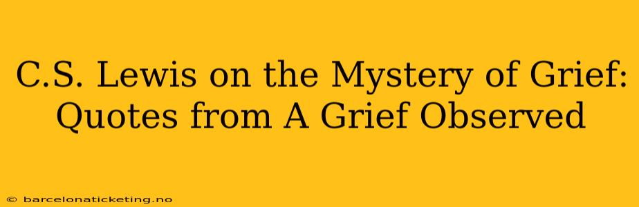 C.S. Lewis on the Mystery of Grief: Quotes from A Grief Observed