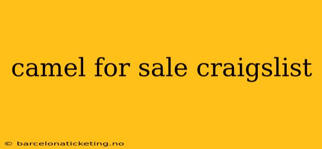 camel for sale craigslist