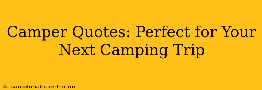 Camper Quotes: Perfect for Your Next Camping Trip