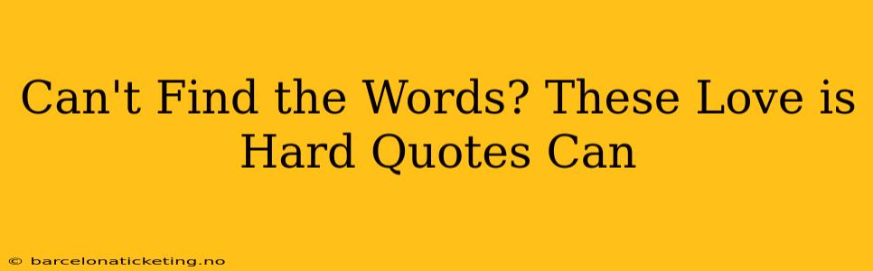 Can't Find the Words? These Love is Hard Quotes Can