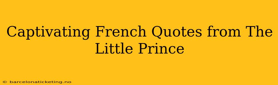 Captivating French Quotes from The Little Prince
