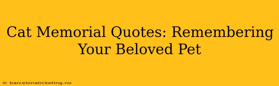 Cat Memorial Quotes: Remembering Your Beloved Pet