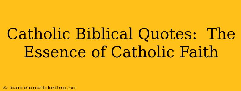Catholic Biblical Quotes:  The Essence of Catholic Faith