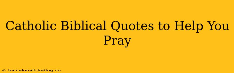 Catholic Biblical Quotes to Help You Pray