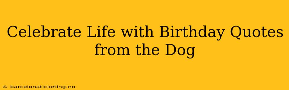 Celebrate Life with Birthday Quotes from the Dog
