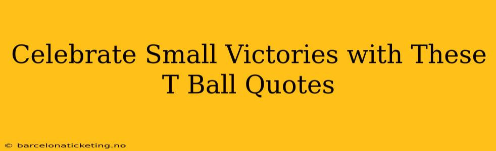 Celebrate Small Victories with These T Ball Quotes